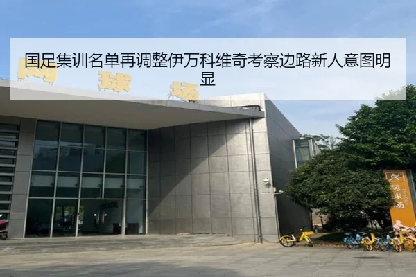 国足集训名单再调整伊万科维奇考察边路新人意图明显 - Kaiyun